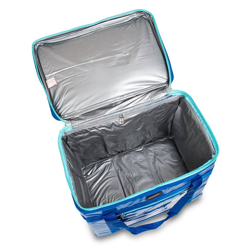 Bolso Isotérmico para Análisis y Muestras Biológicas - COOLS